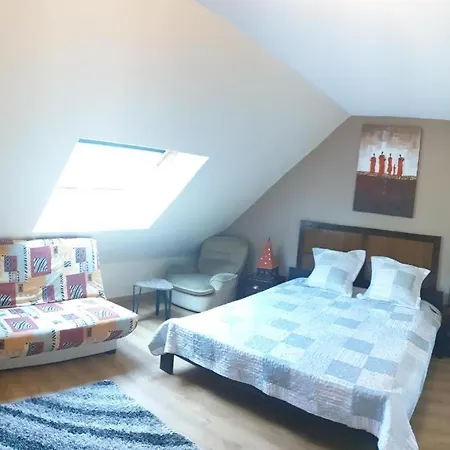 2chambres Salle De Bain Privee Terrasse Parking 30min Paris